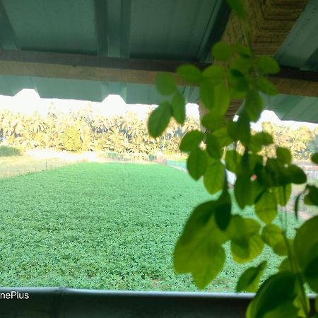 Ocean Sparrow Beach Stay Gokarna  Camera foto